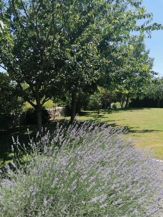Bed and Breakfast Domaine Des Deux Rivieres Meilhan-sur-Garonne Exteriér fotografie